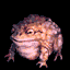 GIANT TOAD