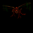 INSECT