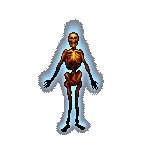 Skeletal Figure