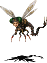 Faerie Fly