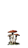 Rouge Mushroom